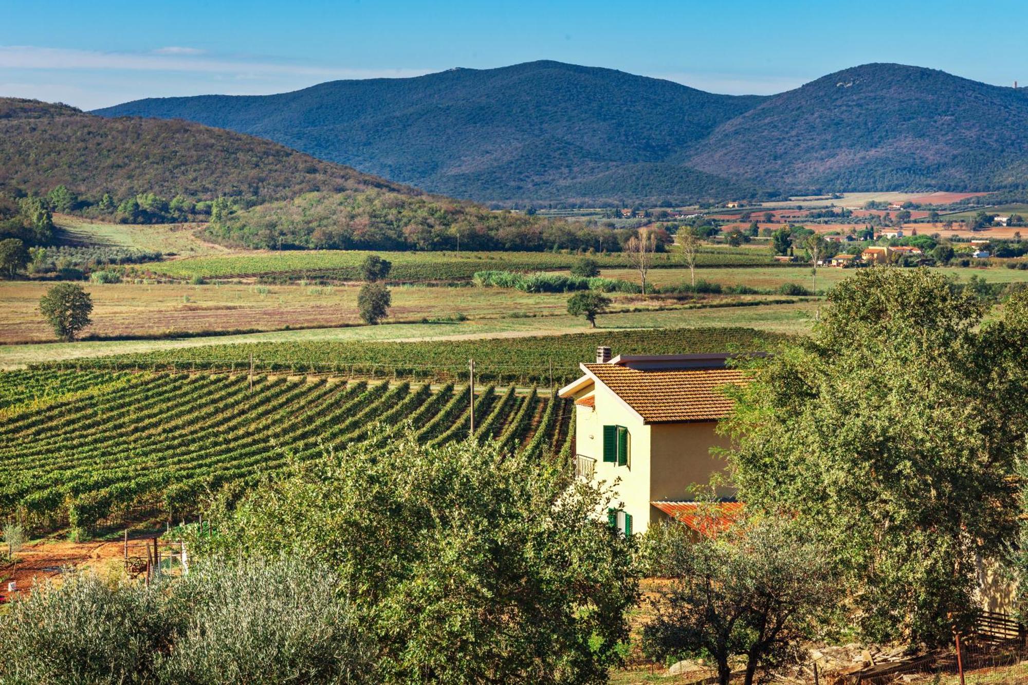 Poggiolivi Agriturismo Bio In Maremma Alberese Room photo