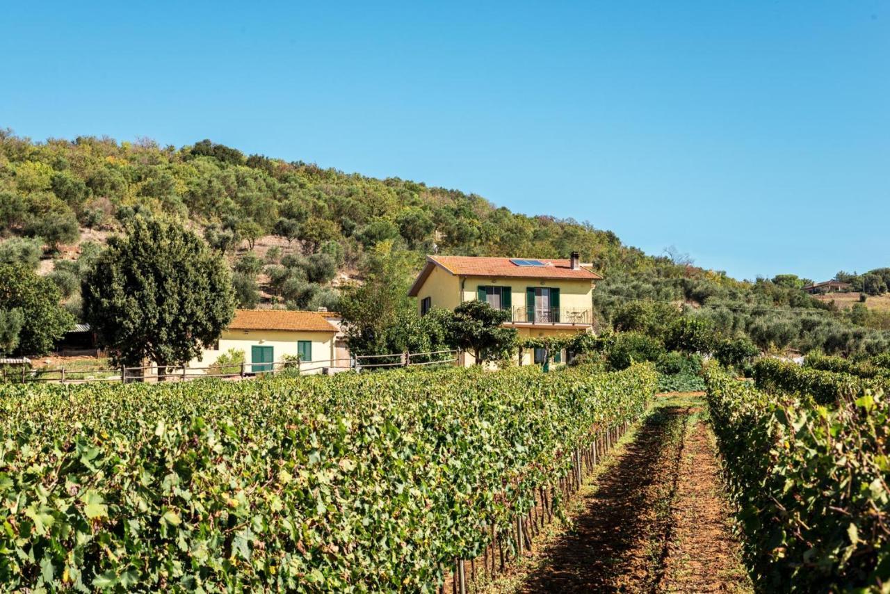 Poggiolivi Agriturismo Bio In Maremma Alberese Exterior photo